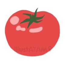 簡単なトマト,トマト,野菜のイラスト素材