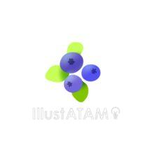 簡単なブルーベリー（1個）