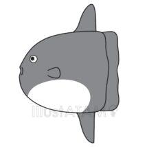 簡単なマンボウ