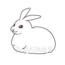 簡単なリアルなうさぎ