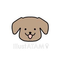 簡単な可愛いゆるいトイプードル,かわいい犬,トイプードル,ゆるい犬,動物の顔,犬,簡単な犬のイラスト素材