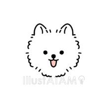 簡単な可愛いゆるいポメラニアン,かわいい犬,ゆるい犬,動物の顔,犬,簡単な犬のイラスト素材