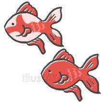 簡単な手書きのかわいい金魚