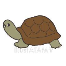 簡単な手書きの亀