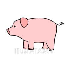 簡単な手書きの豚