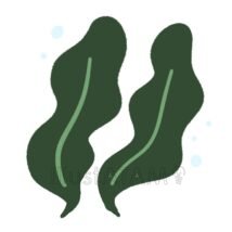 簡単な昆布