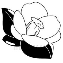 簡単な椿（白黒）,モノクロ,冬の花,和風,椿,白黒,簡単な椿,花のイラスト素材