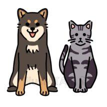 簡単な犬と猫