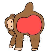 簡単な猿のおしり