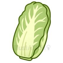 簡単な白菜
