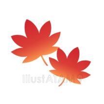 簡単な紅葉（11月）