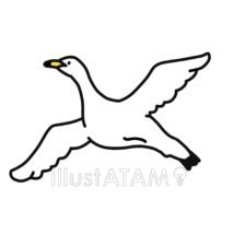 簡単な飛んでいる白鳥