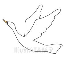羽ばたく白鳥