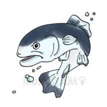 躍動感のある魚