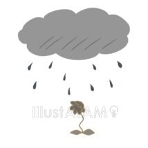 酸性雨の被害