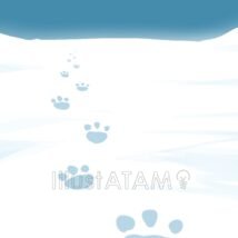 雪の地面