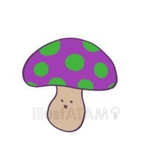 面白いきのこ