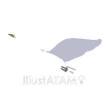 飛ぶ白鳥