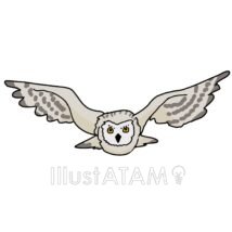 飛んでるかっこいいフクロウ,フクロウ,鳥のイラスト素材