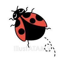 飛んでるかわいいテントウムシ