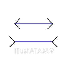 騙し絵（青い矢印）