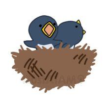 鳥の雛
