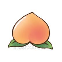 黄桃,果物,桃のイラスト素材