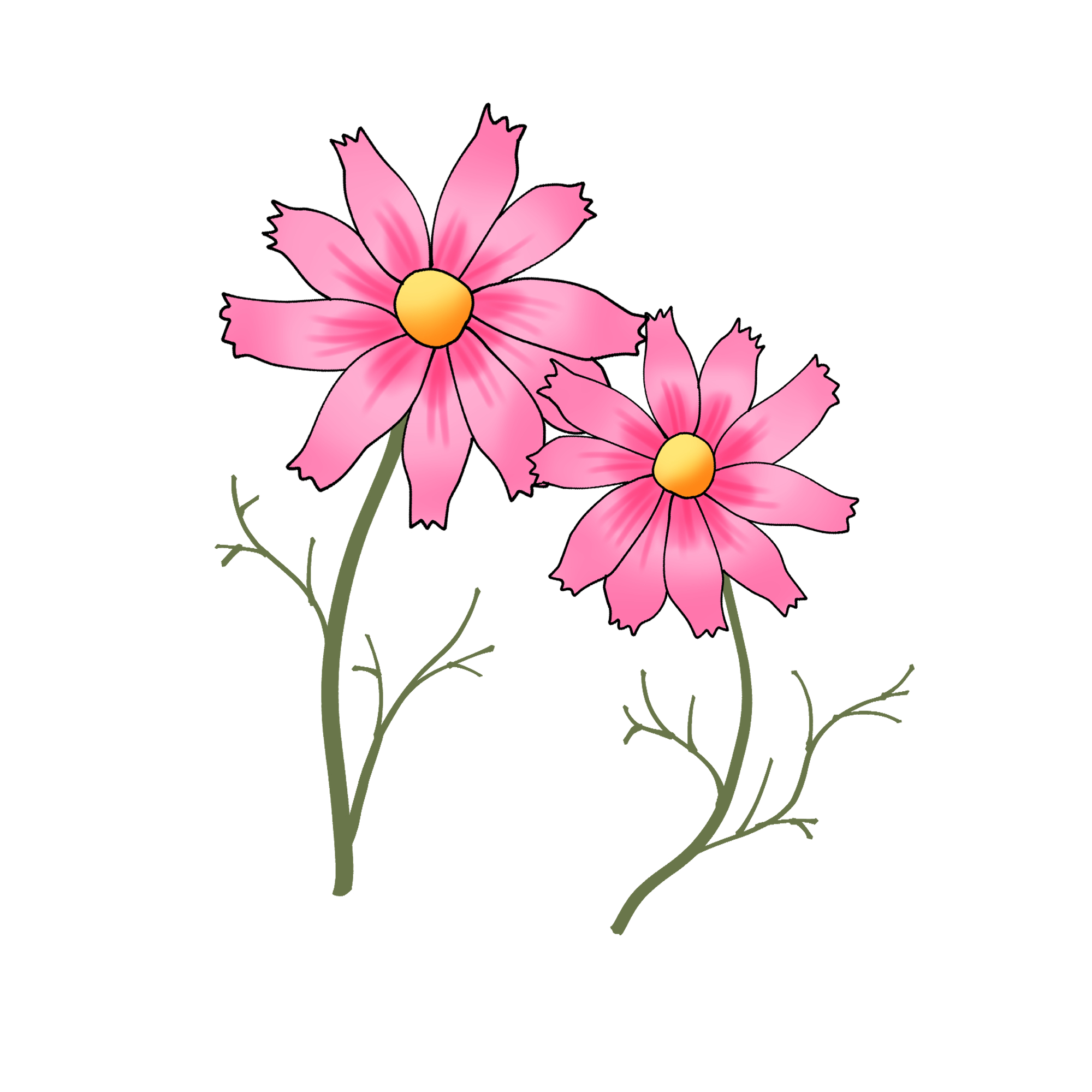 秋 の 花 イラスト かわいい