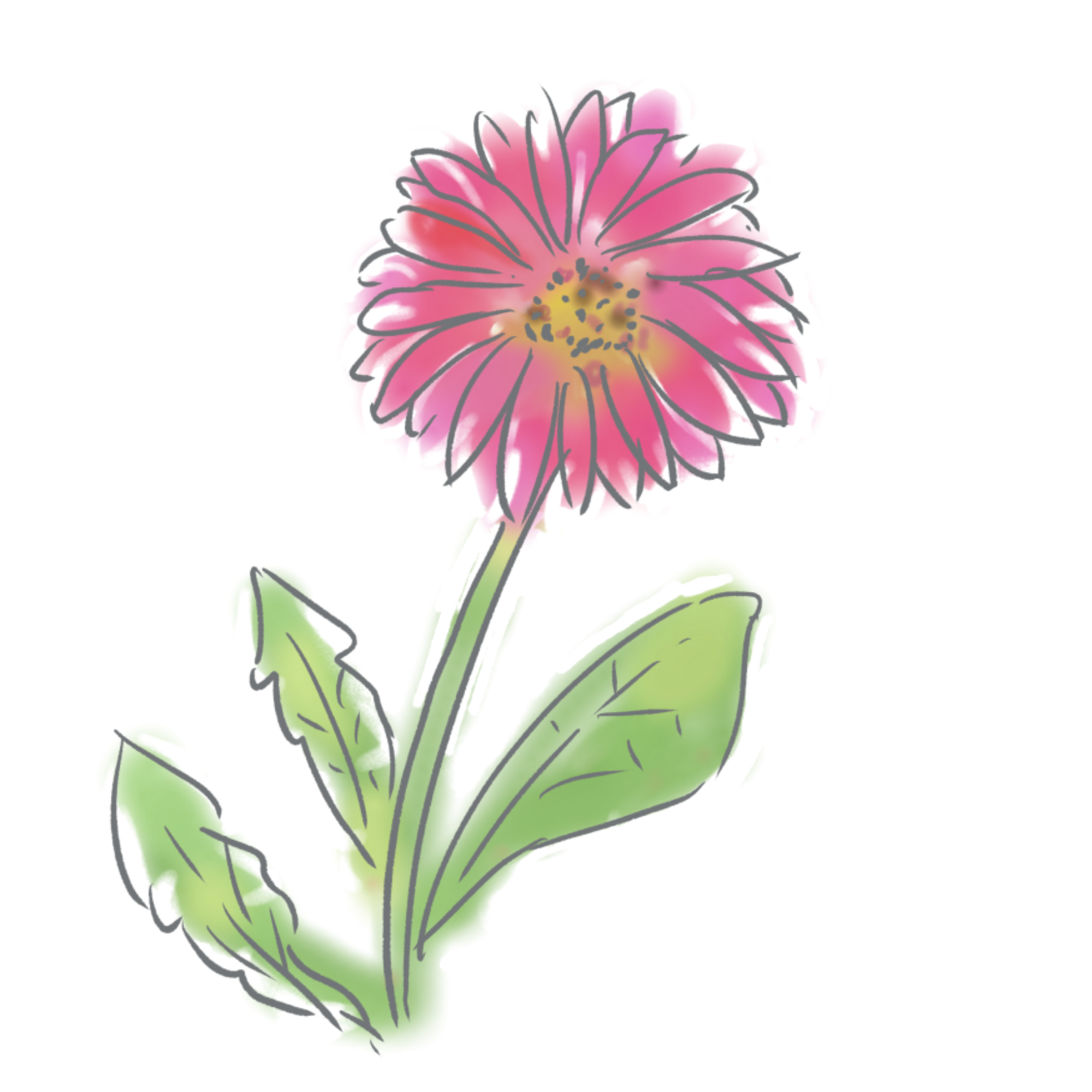 花 の 絵