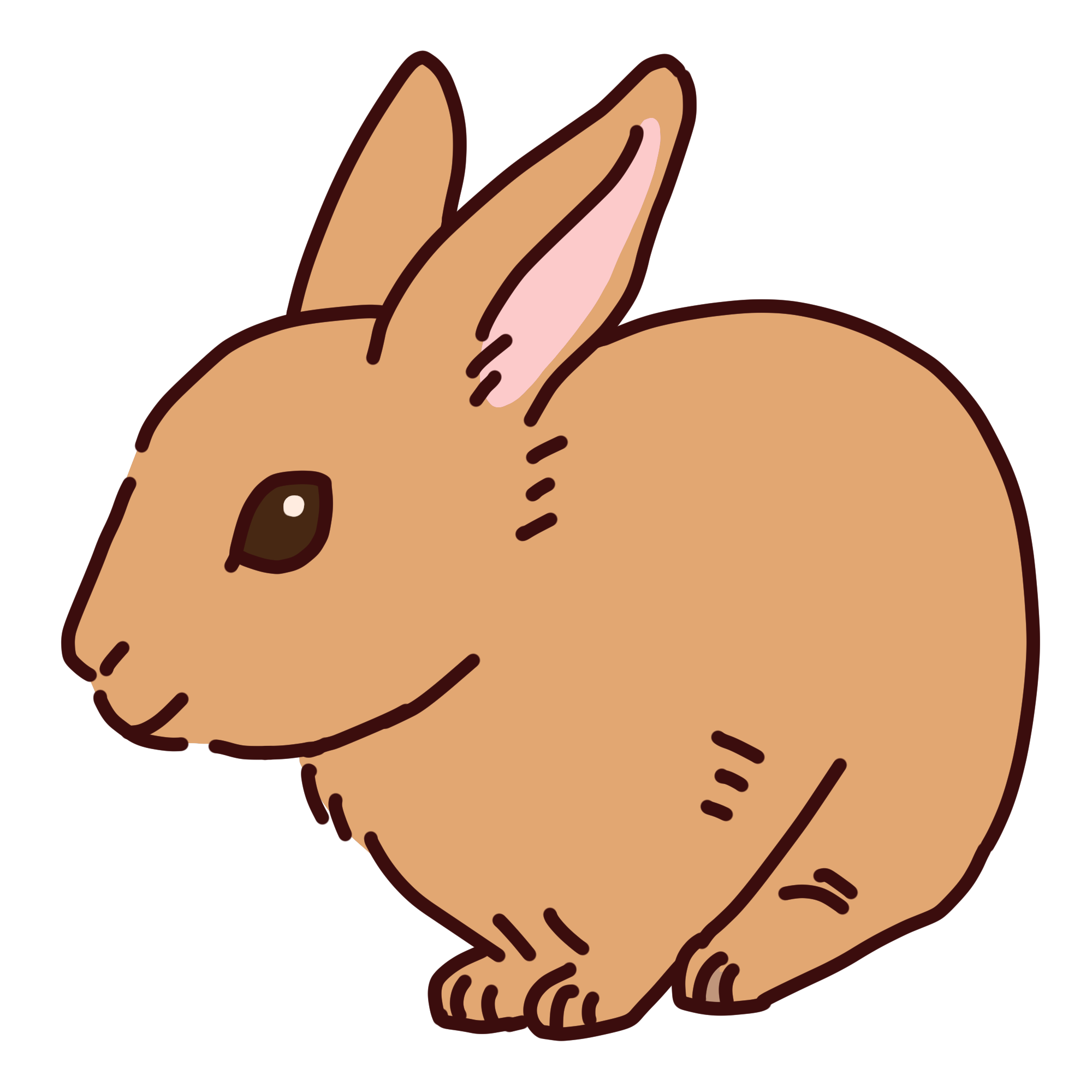 リアルなうさぎのイラスト素材 - フリーイラスト素材配布サイト 無料 