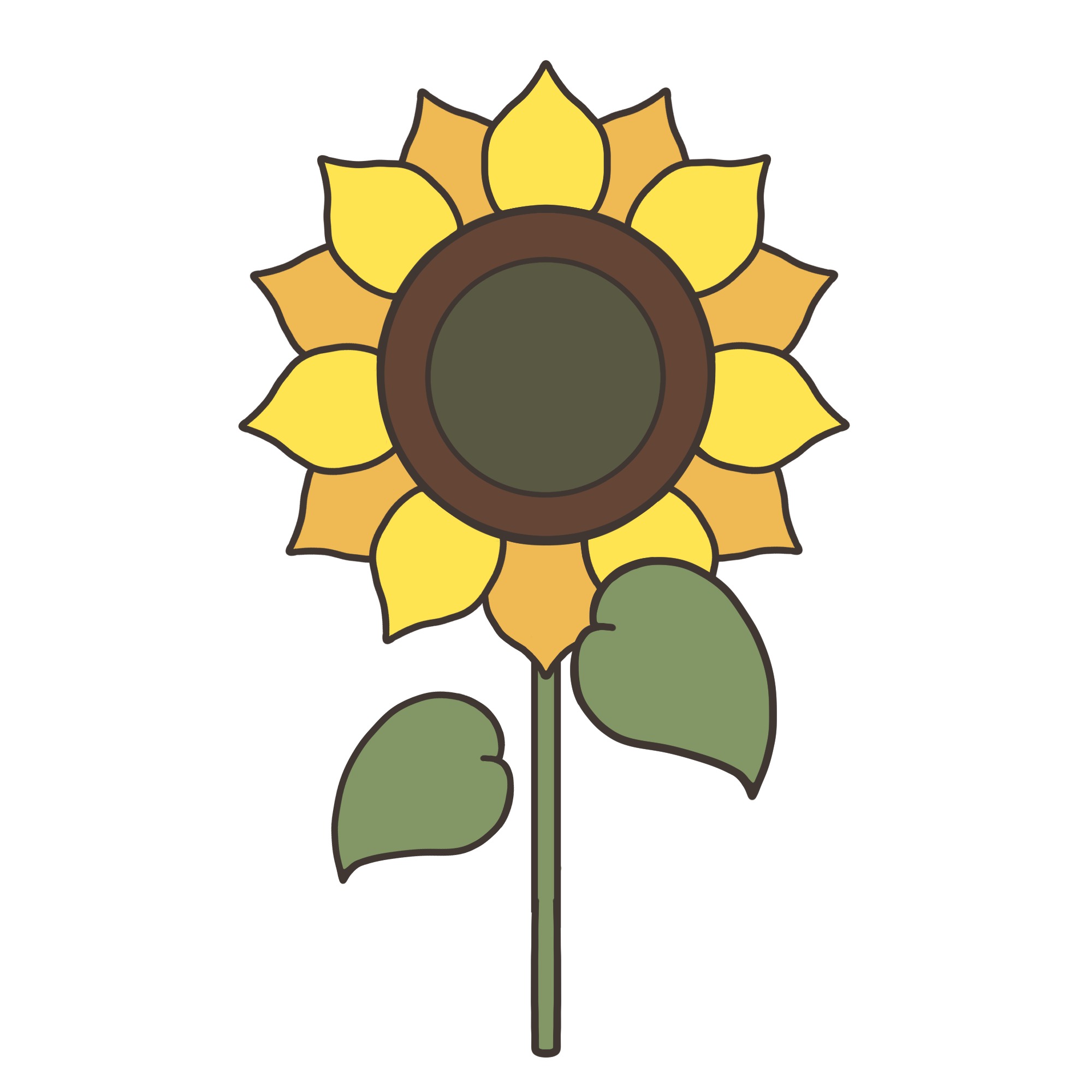 7 月 花 イラスト